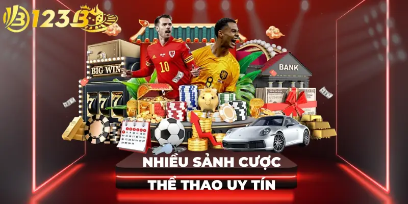 Nhiều sảnh cược thể thao uy tín